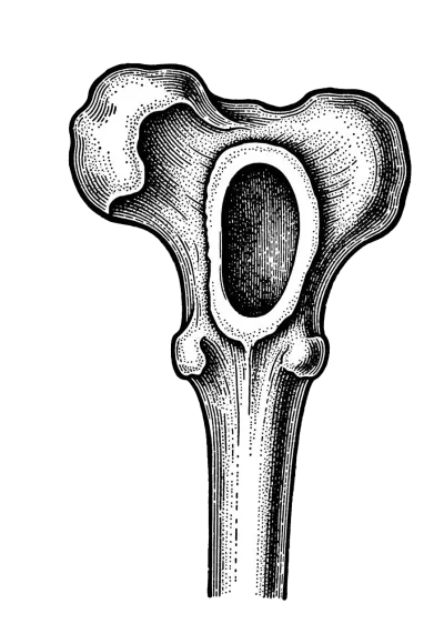 Imagen PNG para descargar